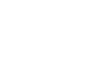 PIE Footer Logo