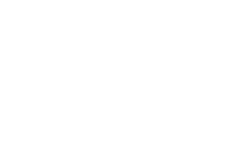 St. Pete-Clearwater International logo