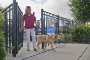 Airport Pet Relief Station