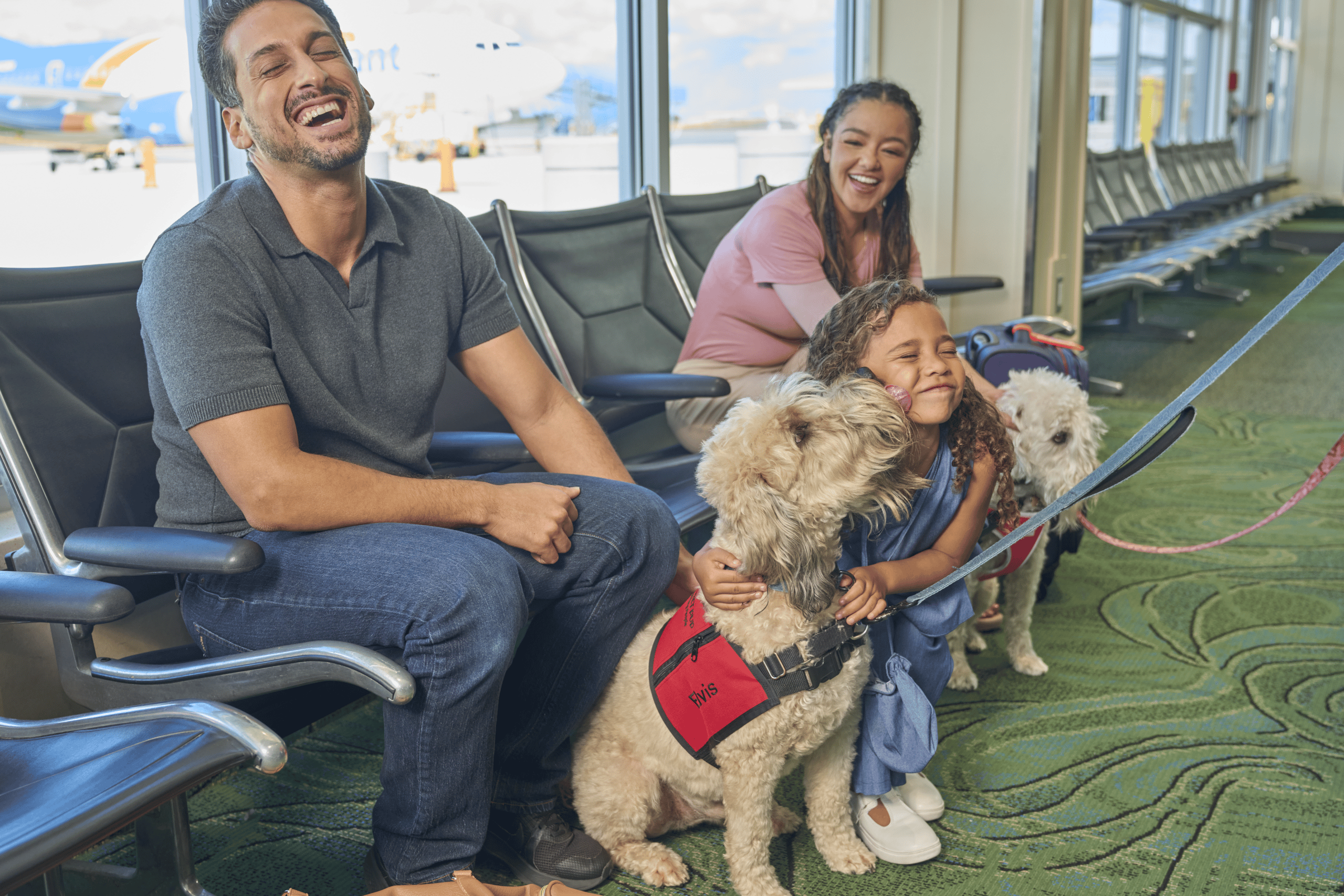 Airport Therapy Dogs