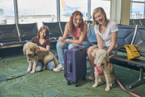 Airport Therapy Dogs